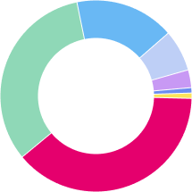 diversity wheel showing workforce Representation by section